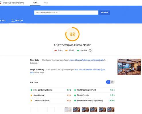 Kinsta Google PageSpeed Insights score with CDN